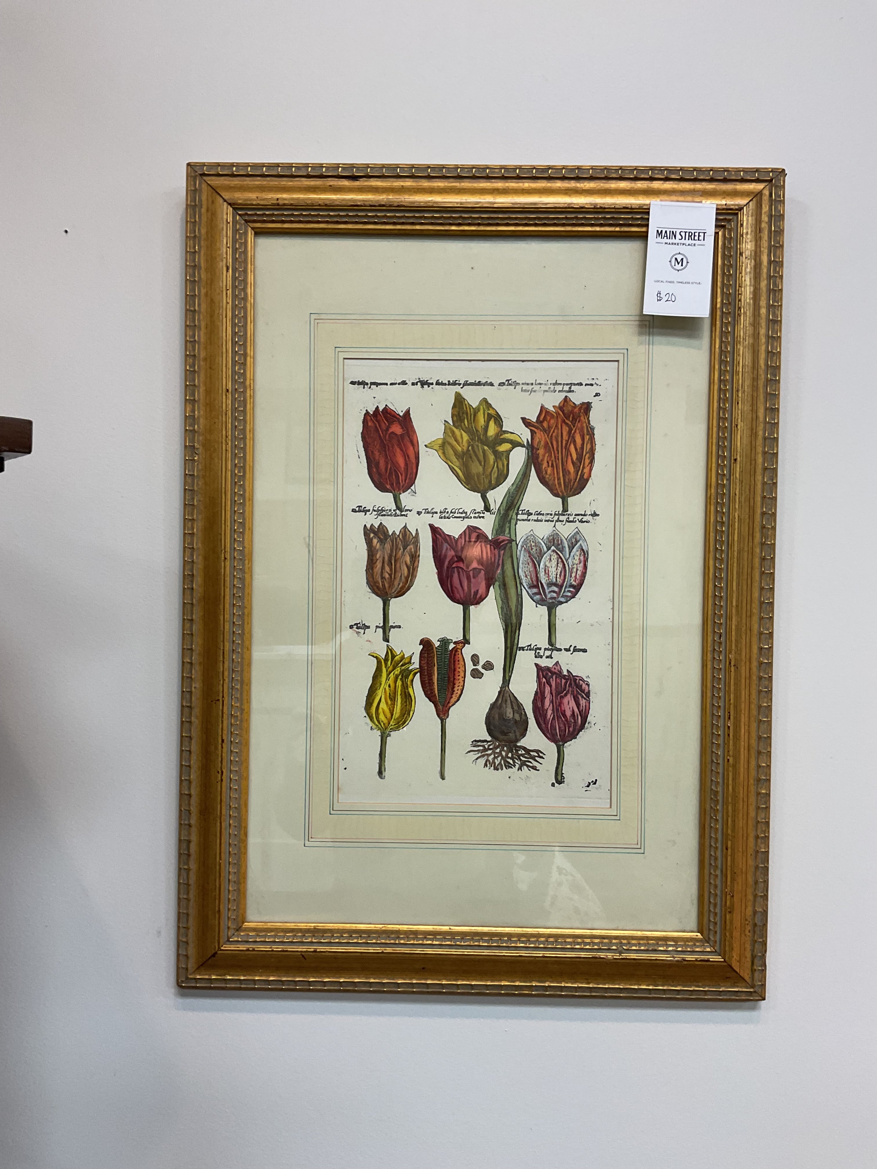Framed Tulip Flower Print